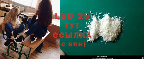 ПСИЛОЦИБИНОВЫЕ ГРИБЫ Богданович