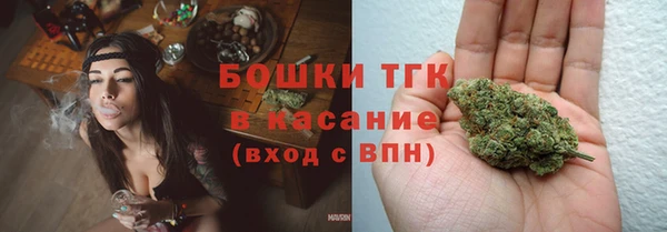 ПСИЛОЦИБИНОВЫЕ ГРИБЫ Богданович