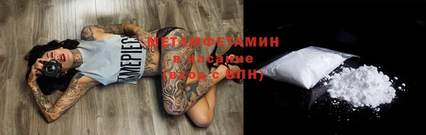 ПСИЛОЦИБИНОВЫЕ ГРИБЫ Богданович