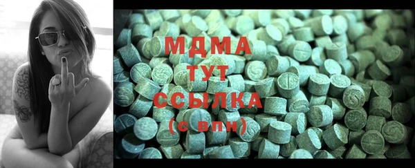 ПСИЛОЦИБИНОВЫЕ ГРИБЫ Богданович