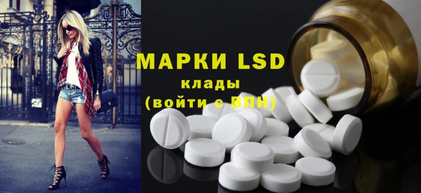ПСИЛОЦИБИНОВЫЕ ГРИБЫ Богданович